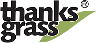 Thanksgrass